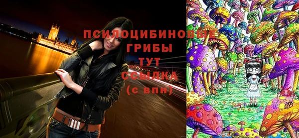 кокаин колумбия Алексин