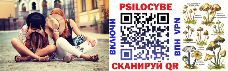 закладки Опочка Галлюциногенные грибы мицелий