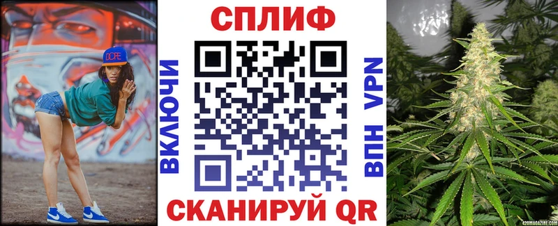Каннабис конопля  Опочка 